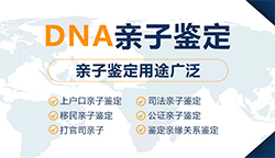 宜宾办理个人亲子鉴定多长时间能出结果，宜宾隐私亲子鉴定办理的条件